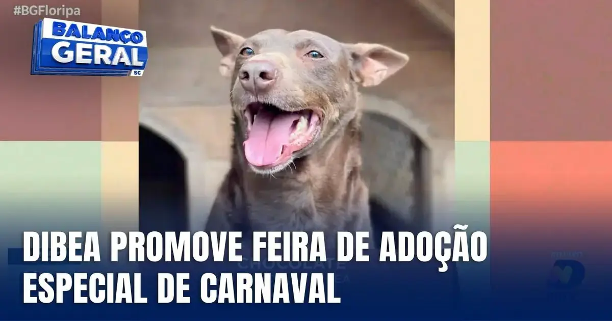YTIMG - Feira de adoção especial de Carnaval em Florianópolis