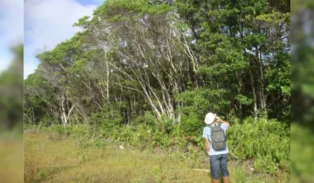 Moradia popular em Florianópolis vira alvo de denúncia no Parque Morro das Pedras