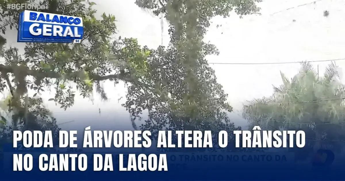 (Foto: ND Mais / Divulgação) Poda de árvores altera trânsito no Canto da Lagoa nesta terça-feira (24)