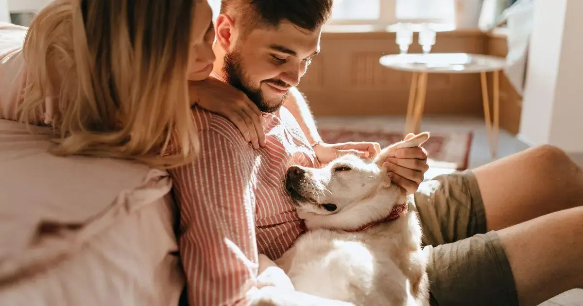 Projeto de Sepultamento de Animais em Araranguá Foto: Reprodução/Freepik/ND Mais - Projeto de Sepultamento de Animais em Araranguá