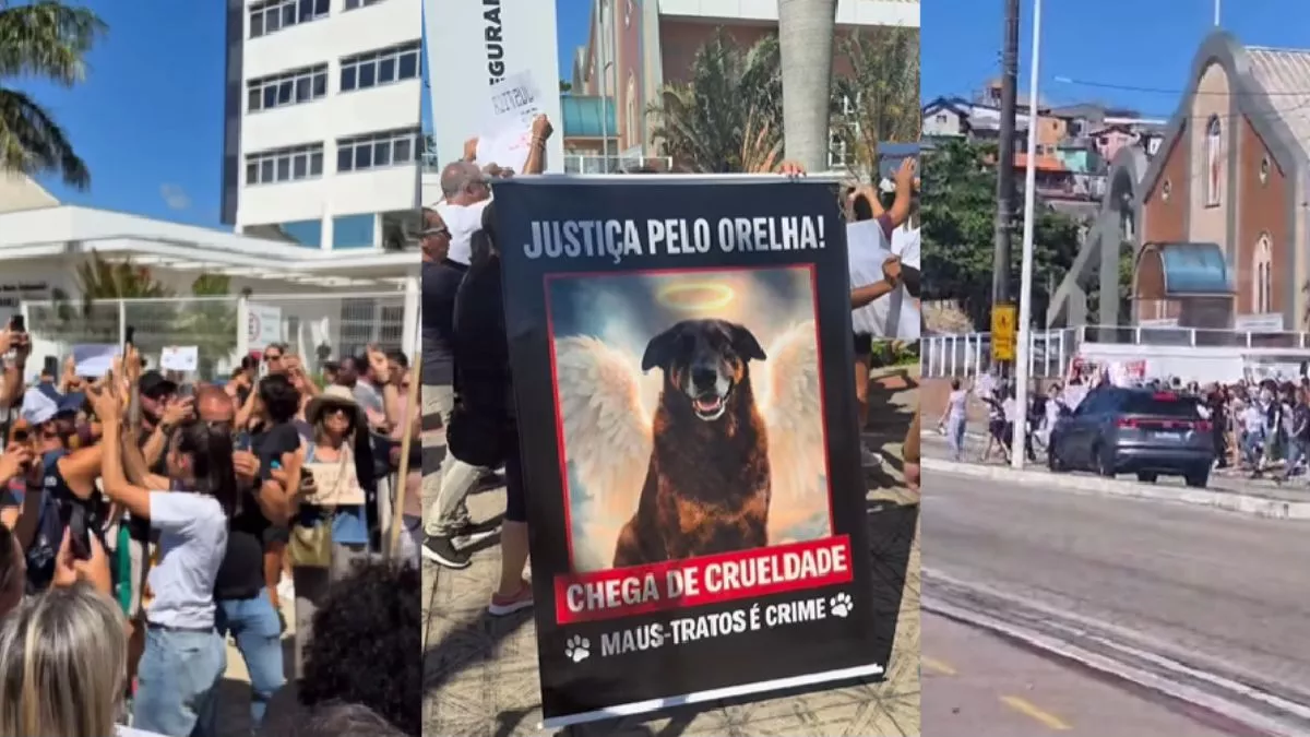 (Foto: Agora Floripa) Ato pelo cão Orelha reúne cerca de 200 na Continental