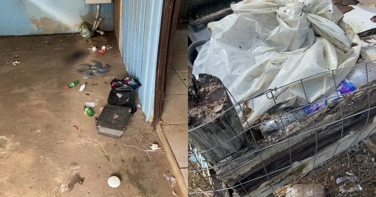 (Foto: NSC Total / Divulgação) Tutor preso por maus-tratos a cães em São João Batista