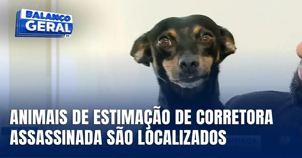 Cadela de estimação com olhar atento e fundo desfocado, com texto sobre animais localizados.