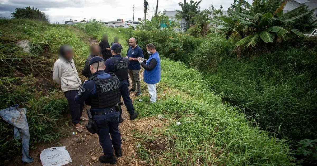 Ciclo Vicioso da Esmola em Florianópolis Grupo de pessoas em discussão, com agentes de segurança em uniforme em ambiente externo com vegetação densa.
