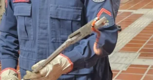 Cobra-coral verdadeira assusta universitários em Biguaçu