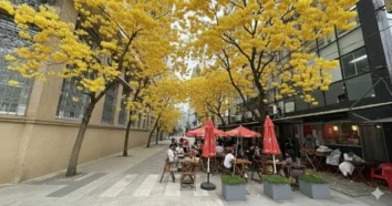 Florianópolis ganha projeto de arborização no Centro Leste
