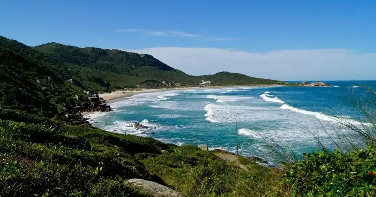 Vista da Praia da Galheta, com ondas quebrando e vegetação costeira ao fundo, sob céu claro.