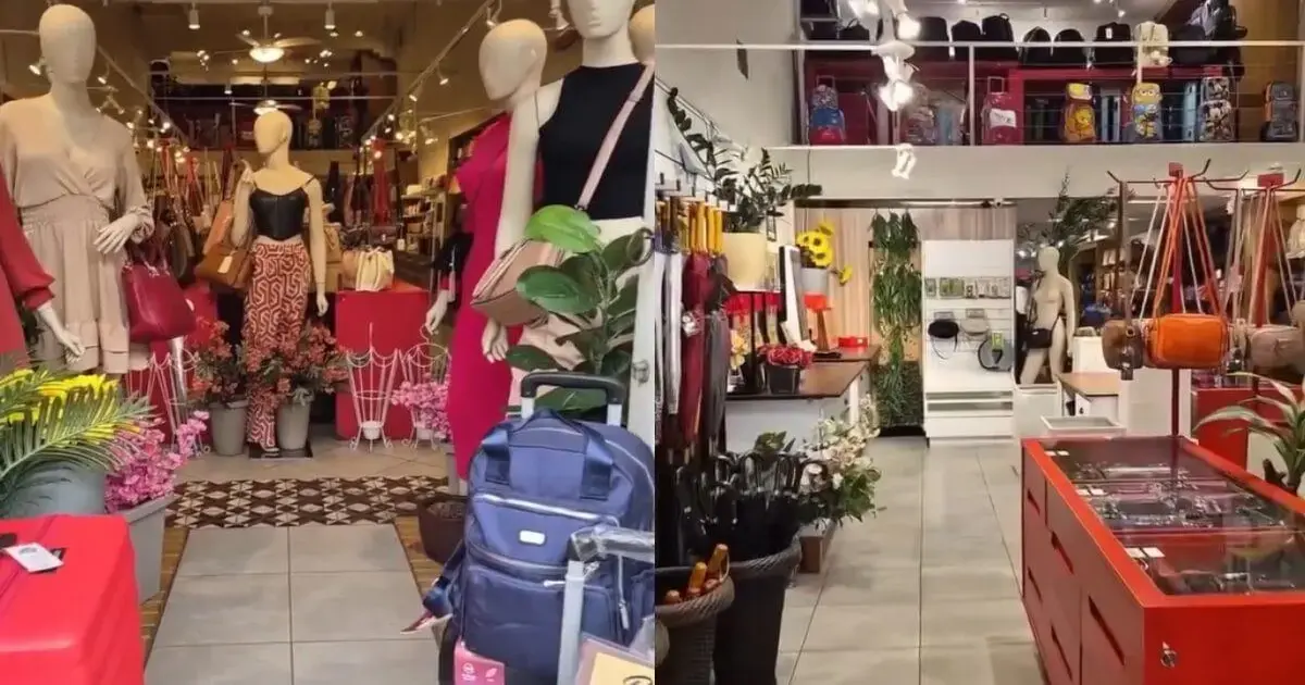 Loja autônoma sem atendentes no Centro de Florianópolis Loja com manequins expondo roupas, acessórios, plantas e produtos em prateleiras, com um ambiente bem iluminado.