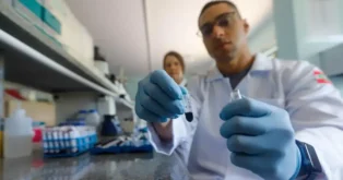 Ossada identificada em Santo Amaro da Imperatriz Ossada identificada em Santo Amaro da Imperatriz