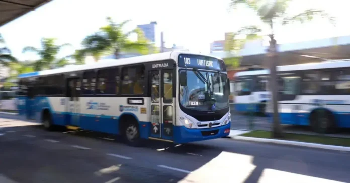 Ônibus azul e branco se aproximando em uma via, com árvores ao fundo e sinalização visível na entrada.