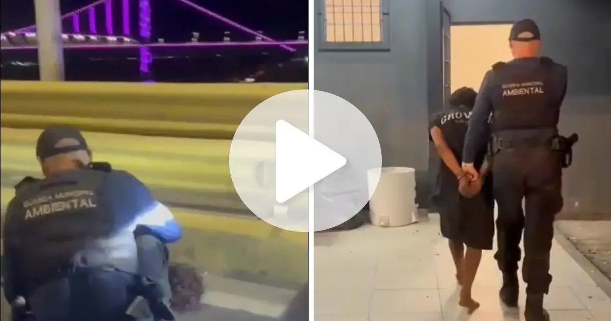 Quatro homens presos por furto de fios na ponte Colombo Salles Agentes da Guarda Municipal Ambiental abordam um indivíduo em via pública, com ponte iluminada ao fundo.