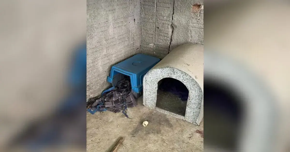 Abrigo azul para animais ao lado de uma casinha de pedra, localizada em um espaço coberto e com piso de cimento.