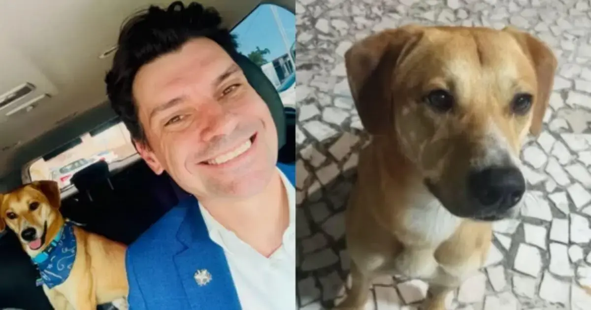 Um cão de pelagem clara, sentado em um chão de pedras. Ao fundo, um homem sorridente está em um carro.