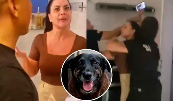 Mulher em discussão com duas pessoas, uma sendo agredida, enquanto um cachorro aparece em uma imagem circular na parte inferior.