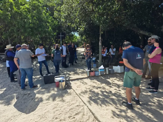 Grupo de pessoas em uma reunião ao ar livre, rodeadas por árvores, com materiais de trabalho no chão.