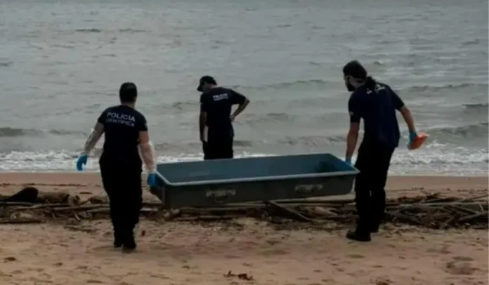 Agentes da polícia científica observam e transportam um recipiente na praia, próximo ao mar.