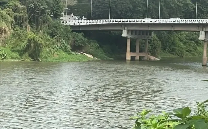 Vista do rio com vegetação ao redor e uma ponte acima, onde constam veículos.