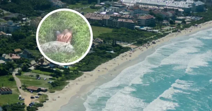 Dois indivíduos em uma situação íntima em um local com grama e pedras, cercados por uma área costeira com praia e edifícios ao fundo.