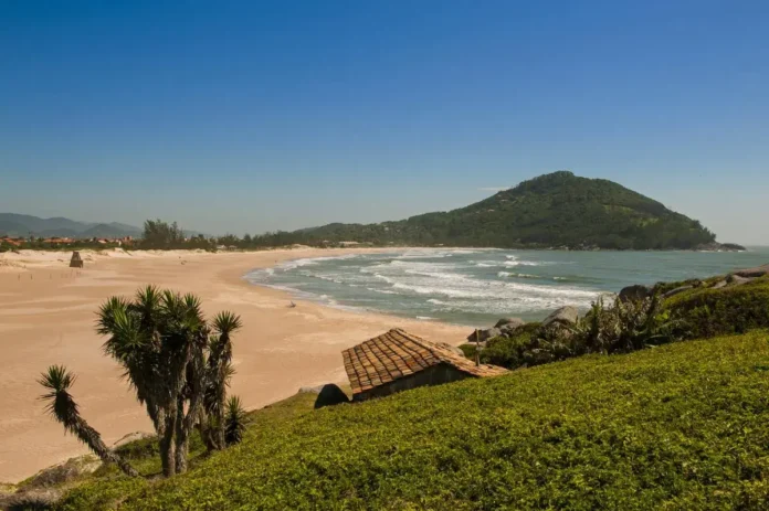 Praia com vegetação costeira e morro ao fundo, apresentando areias claras e ondas suaves.