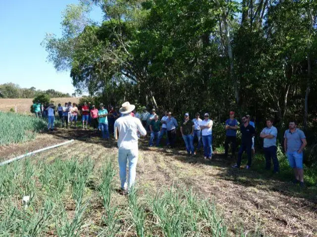 Grupo de pessoas observa uma apresentação em um campo de cebolas, rodeado por vegetação.