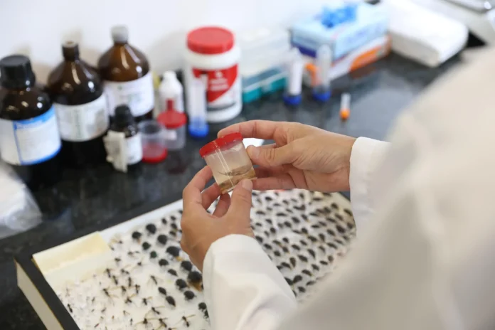 Contêiner com insetos em líquido, sendo segurado por uma pessoa em um laboratório com materiais de pesquisa ao fundo.