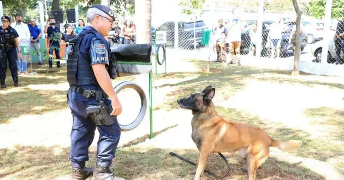 Agente de segurança com uniforme observa um cão em treinamento, cercado por pessoas ao fundo.