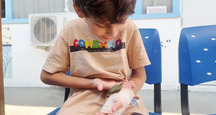 Criança sentada em cadeira azul, segurando uma tartaruga sobre a mão com o braço enfaixado.
