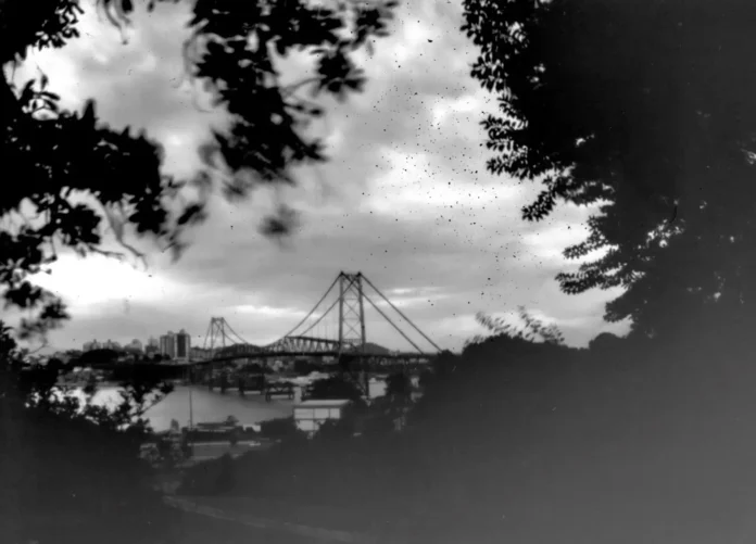 Ponte com estrutura suspensa vista através de árvores, sob um céu nublado e com reflexos na água.