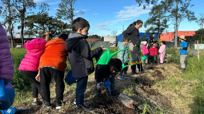 Crianças em um canteiro de jardinagem usando regadores e ferramentas de jardinagem em um dia ensolarado.
