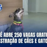 – Prefeitura de São José realiza mutirão de castração gratuita