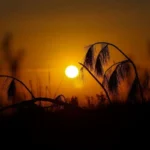 Foto: Jonatã Rocha / SECOM GOVSC A semana começa com tempo firme e ensolarado em Santa Catarina – Previsão do Tempo em Santa Catarina para a Semana