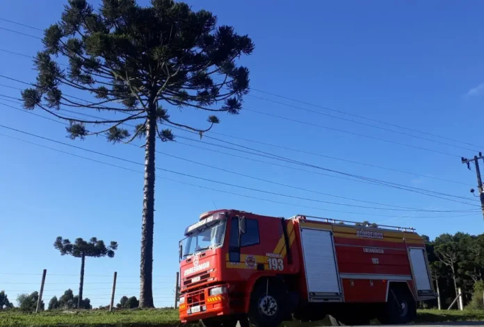Caminhão de bombeiros estacionado próximo a uma árvore de pinheiro, sob céu azul com algumas nuvens.