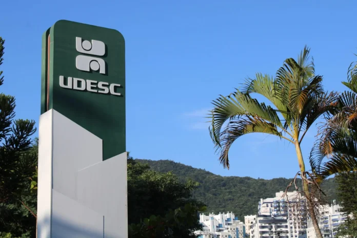 Sinalizador da UDESC com fundo verde, ao lado de palmeiras, montanhas e edifícios ao fundo sob um céu azul.