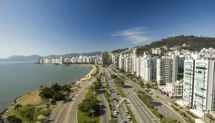 Florianópolis implementa PMArbo Floripa para melhorar a arborização urbana