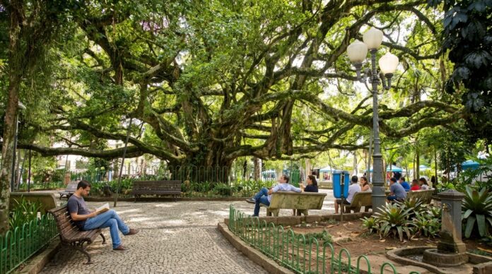 Caminhões parados no trânsito agora em Floripa após acidente na avenida