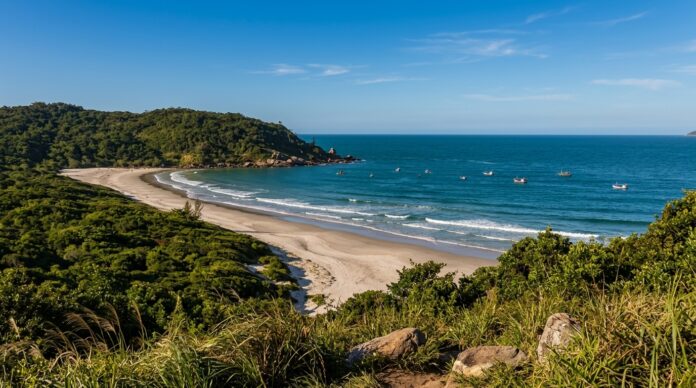 Cenário de trânsito em Floripa com propostas inovadoras da prefeitura para 2026